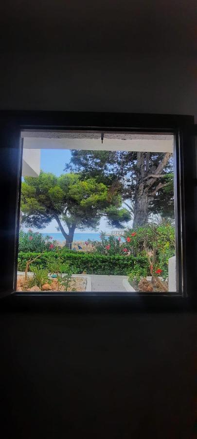 Apartamento Frente Al Mar Alcossebre Exteriér fotografie